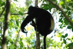 madagaskar2535