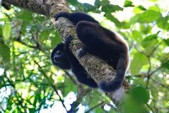 madagaskar2537