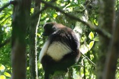 madagaskar2539