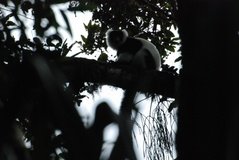 madagaskar2553