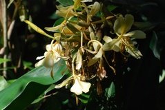 madagaskar2574