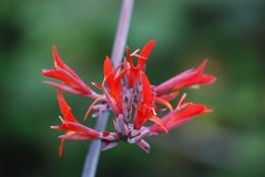 madagaskar2580