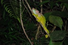 madagaskar2619