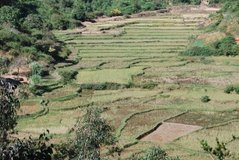 madagaskar2707