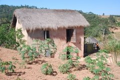 madagaskar2721