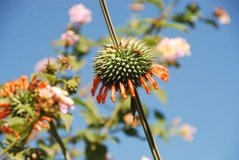 madagaskar2748