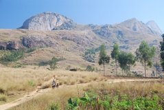 madagaskar3016