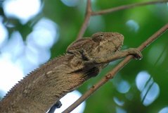 madagaskar3287