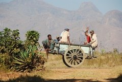 madagaskar3304