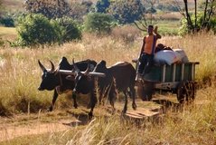 madagaskar3500