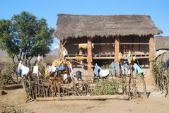 madagaskar3512