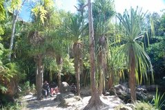 madagaskar3922