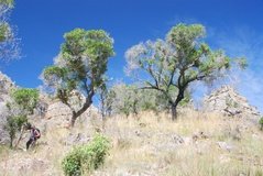 madagaskar3935r