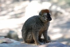 madagaskar3968