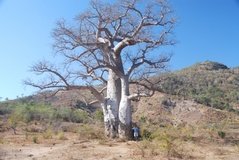madagaskar4004