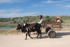 madagaskar4032