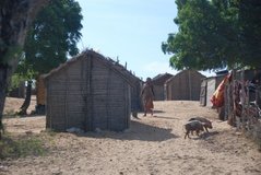 madagaskar4043
