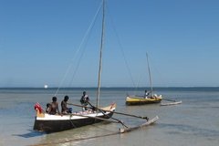 madagaskar4067