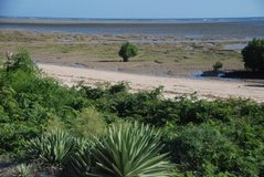 madagaskar4113
