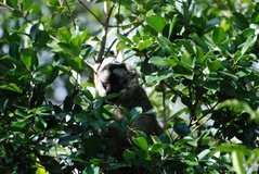 madagaskar4454