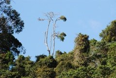 madagaskar4484