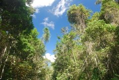 madagaskar4485