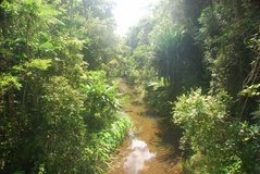 madagaskar4550