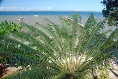 madagaskar4772