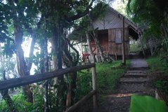 madagaskar4774