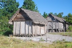 madagaskar4776