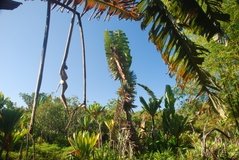 madagaskar5106