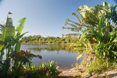 madagaskar5109