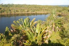 madagaskar5113