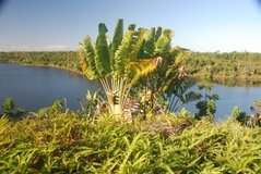 madagaskar5115