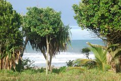 madagaskar5126