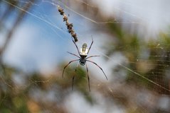 madagaskar6014