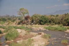malawi2108