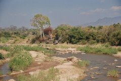 malawi2108