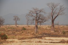 malawi2115