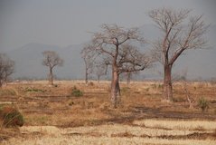 malawi2115