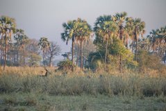 malawi2116