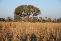 malawi2117