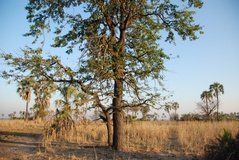 malawi2118