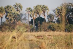 malawi2120