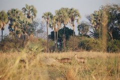 malawi2120
