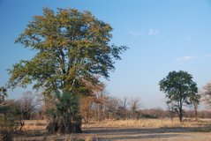 malawi2124