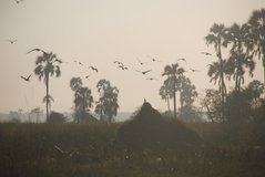 malawi2126