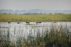malawi2127