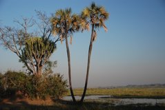 malawi2130