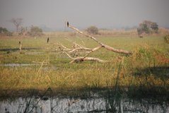 malawi2132